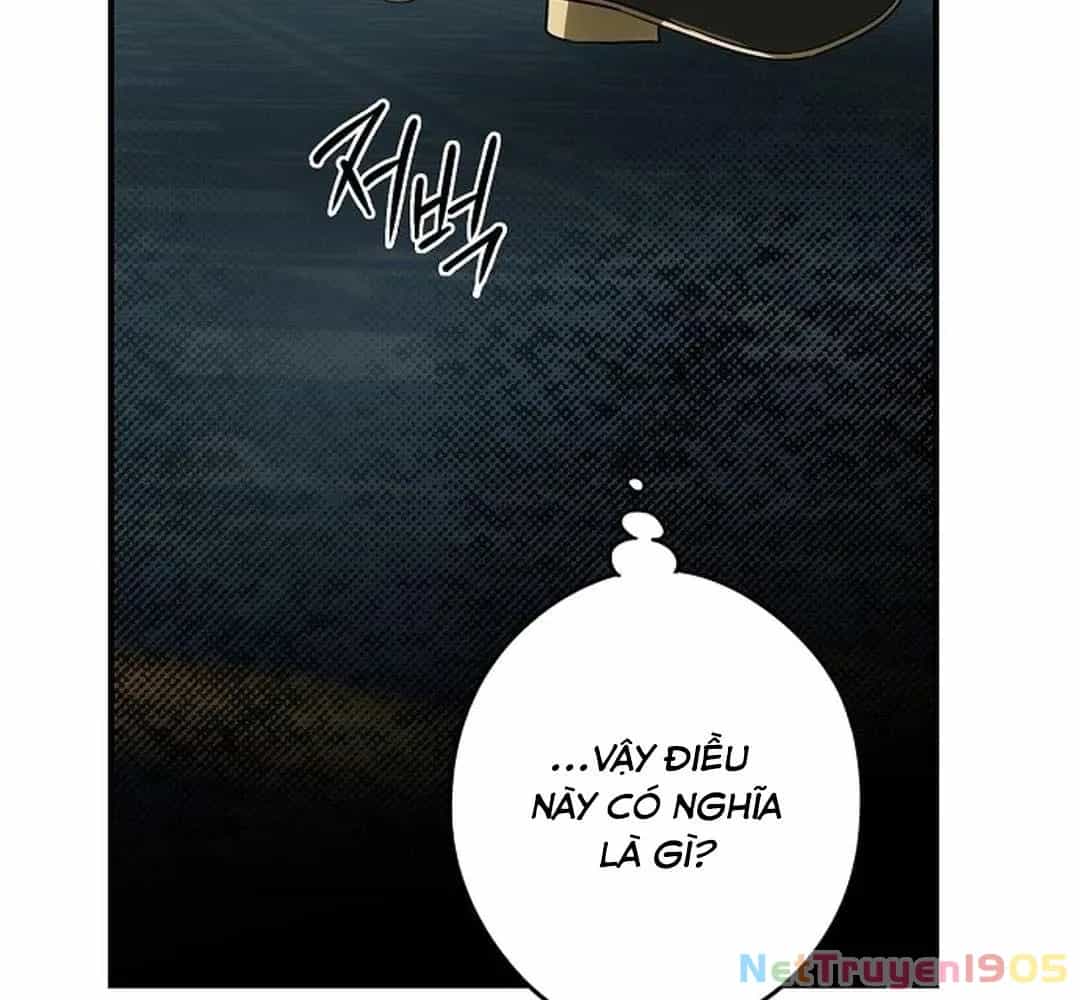 Bị Che Khuất Bởi Mặt Trời Lặn - Chương 189 - ảnh 64
