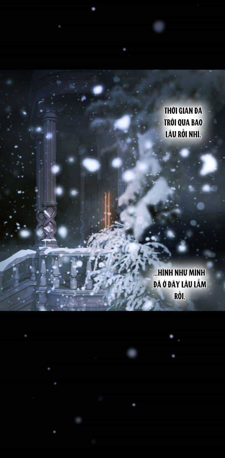 Bí Mật Của Quý Cô - Chương 72 - ảnh 16