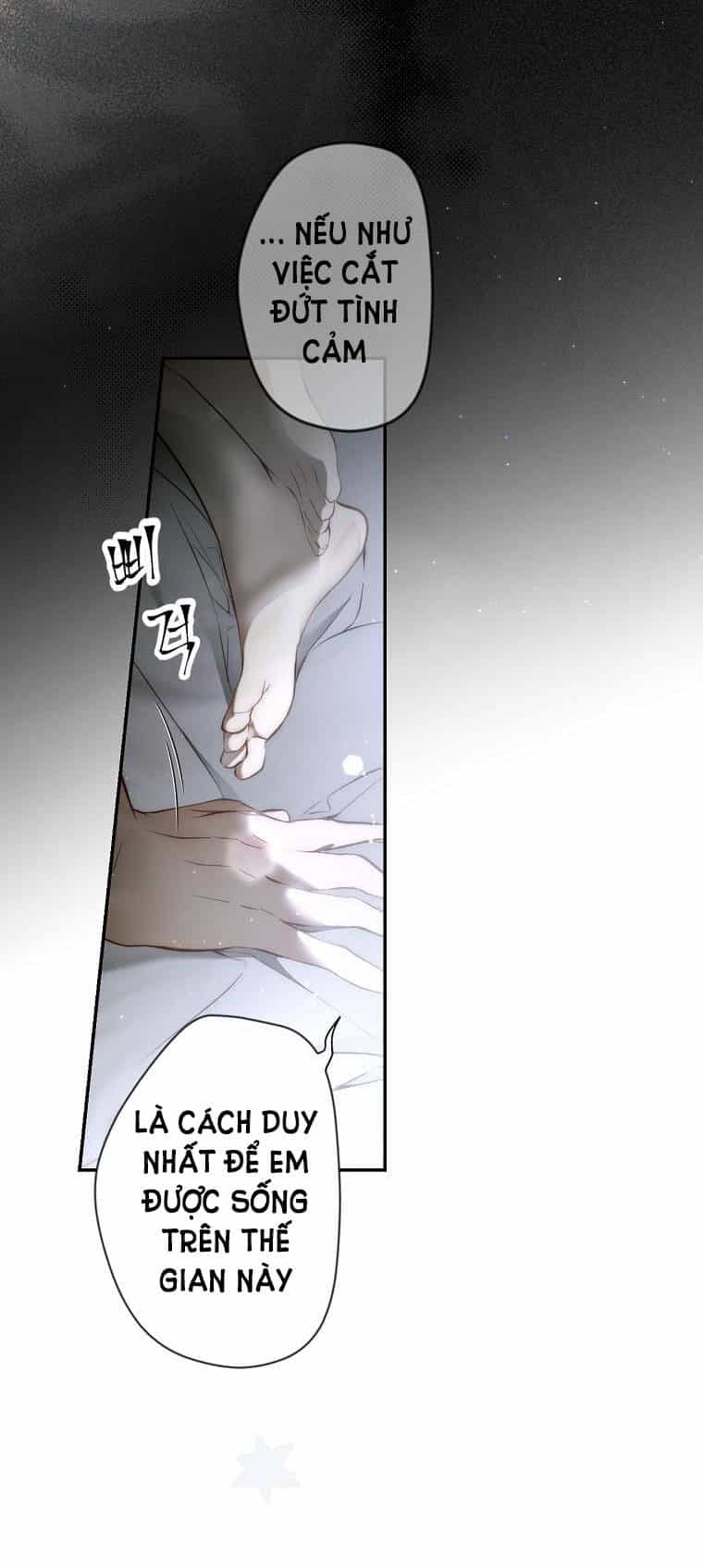 Bí Mật Của Quý Cô - Chương 74.2 - ảnh 35