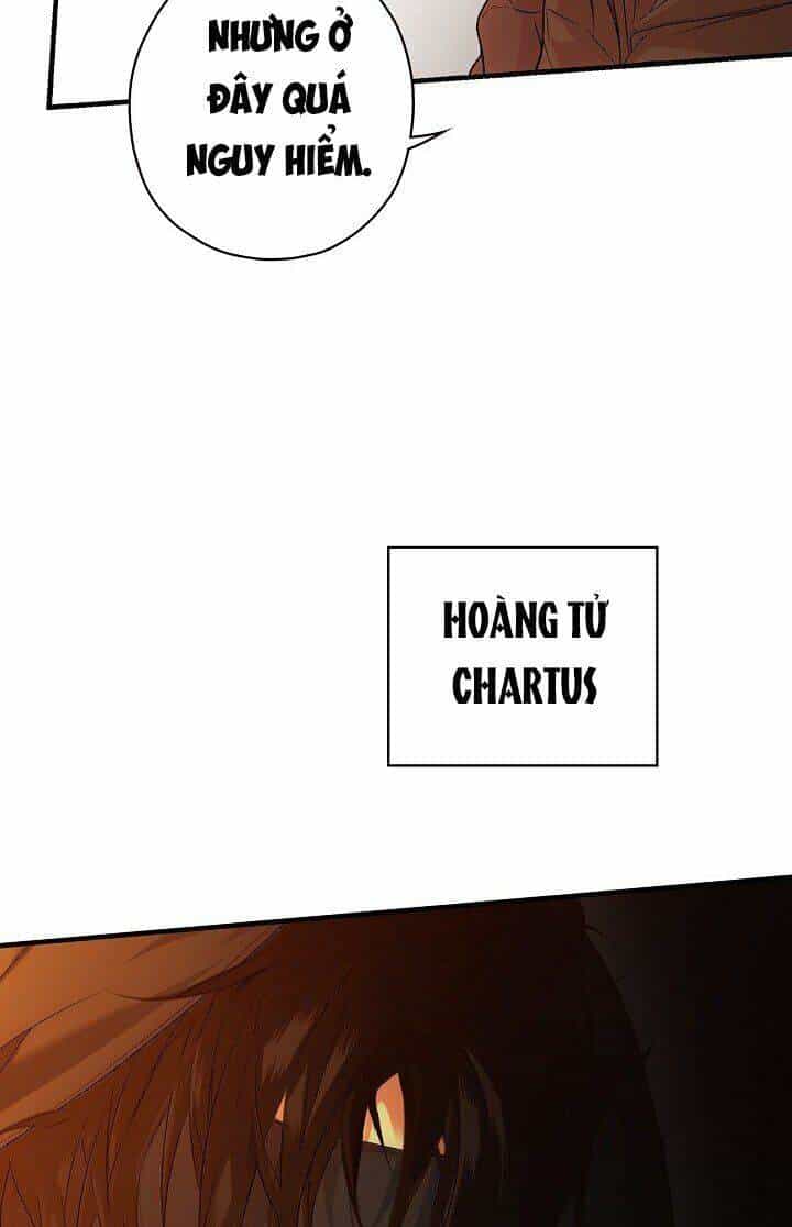 Bí Mật Của Quý Cô - Chương 19 - ảnh 15
