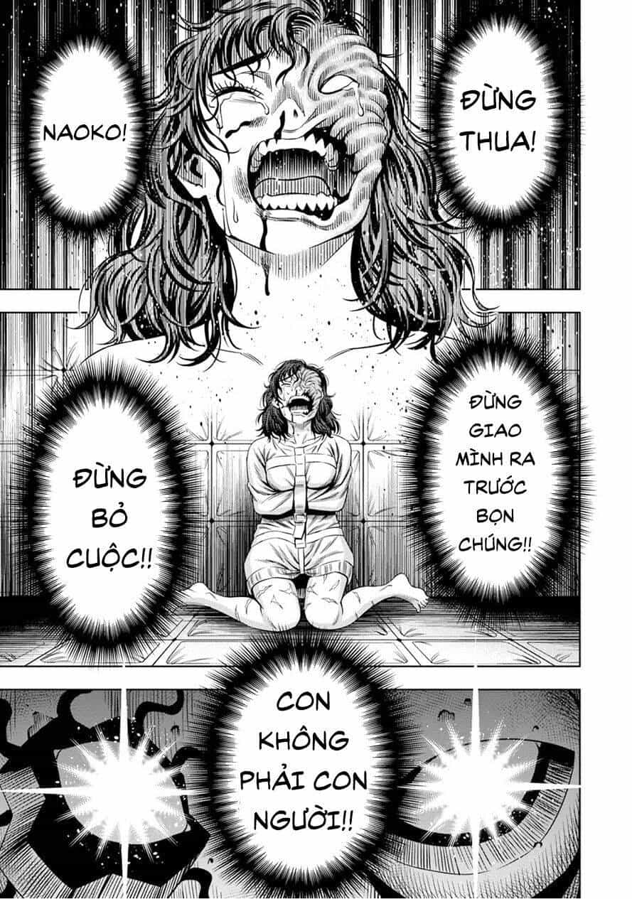 Bí Ngô Cuồng Sát - Chương 51 - ảnh 1