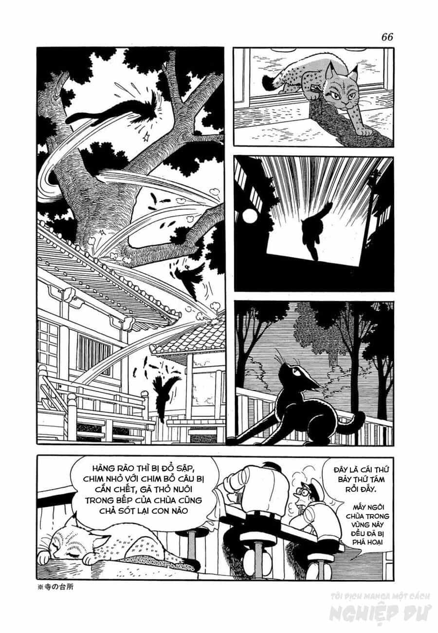 Black Jack Gaiden: Midnight - Chương 3 - ảnh 12