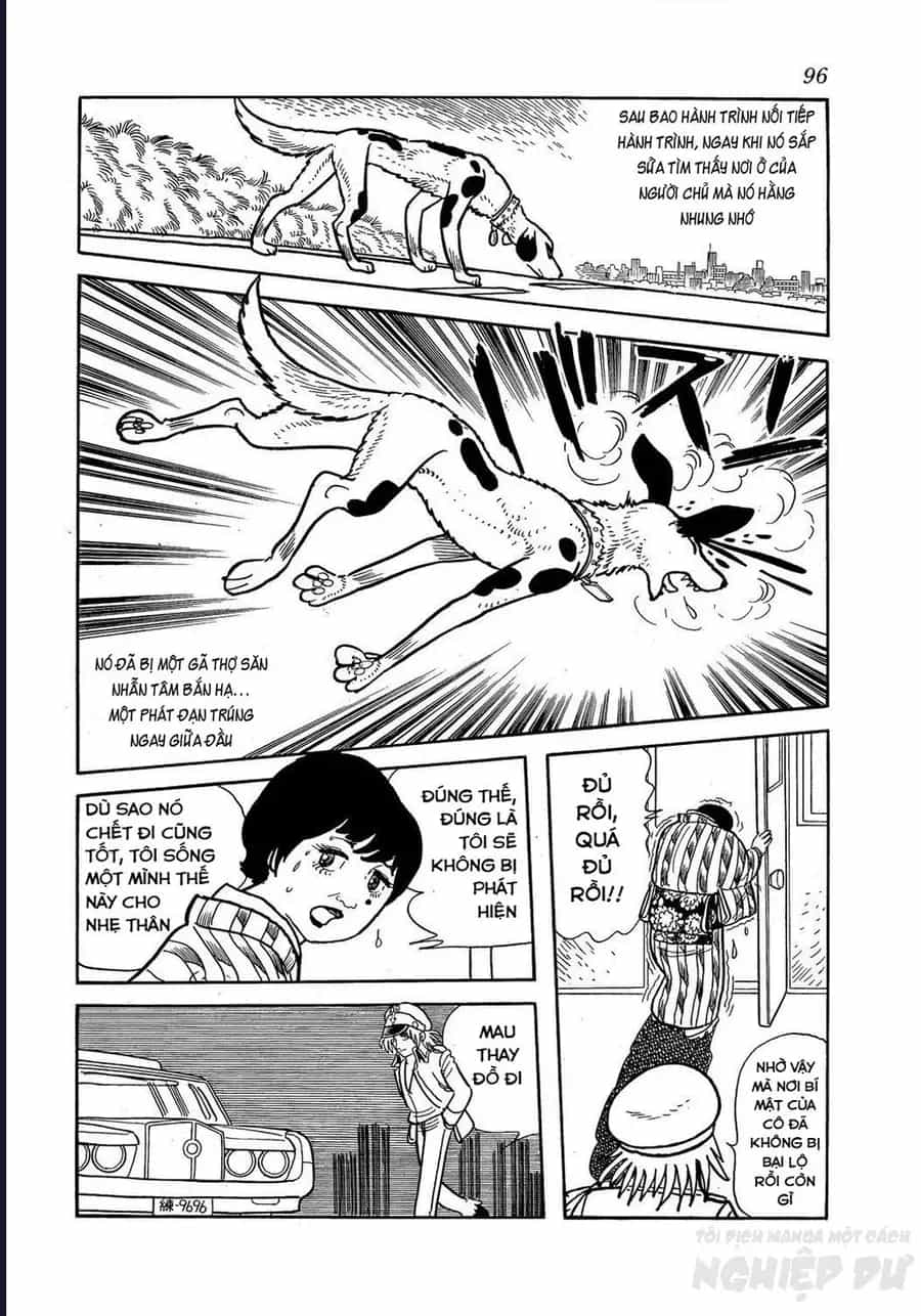 Black Jack Gaiden: Midnight - Chương 30 - ảnh 14