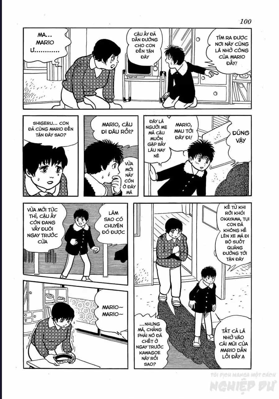 Black Jack Gaiden: Midnight - Chương 30 - ảnh 18