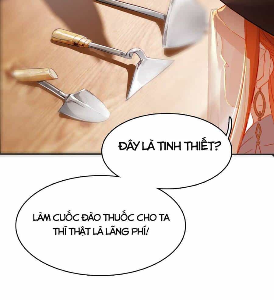 Bộ Tinh Ti Chi Nguyên Khởi - Chương 10 - ảnh 13