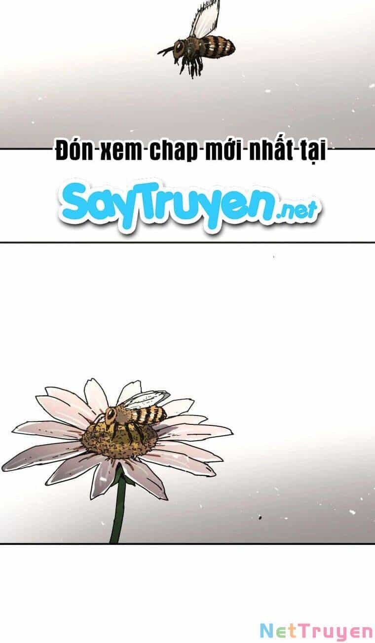Bố Vô Song - Chương 224 - ảnh 16