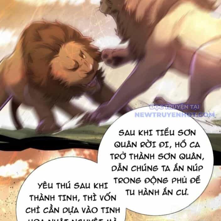 Bói Toán Mà Thôi, Cửu Vĩ Yêu Đế Sao Lại Thành Nương Tử Ta?! - Chương 72 - ảnh 39