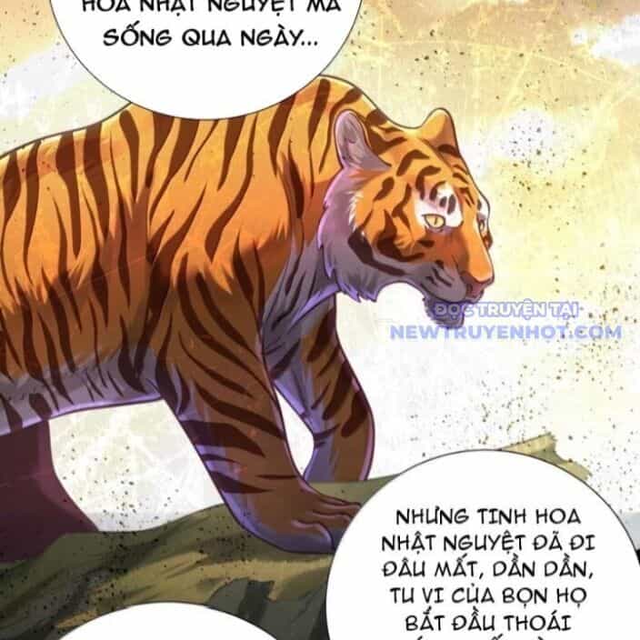Bói Toán Mà Thôi, Cửu Vĩ Yêu Đế Sao Lại Thành Nương Tử Ta?! - Chương 72 - ảnh 40