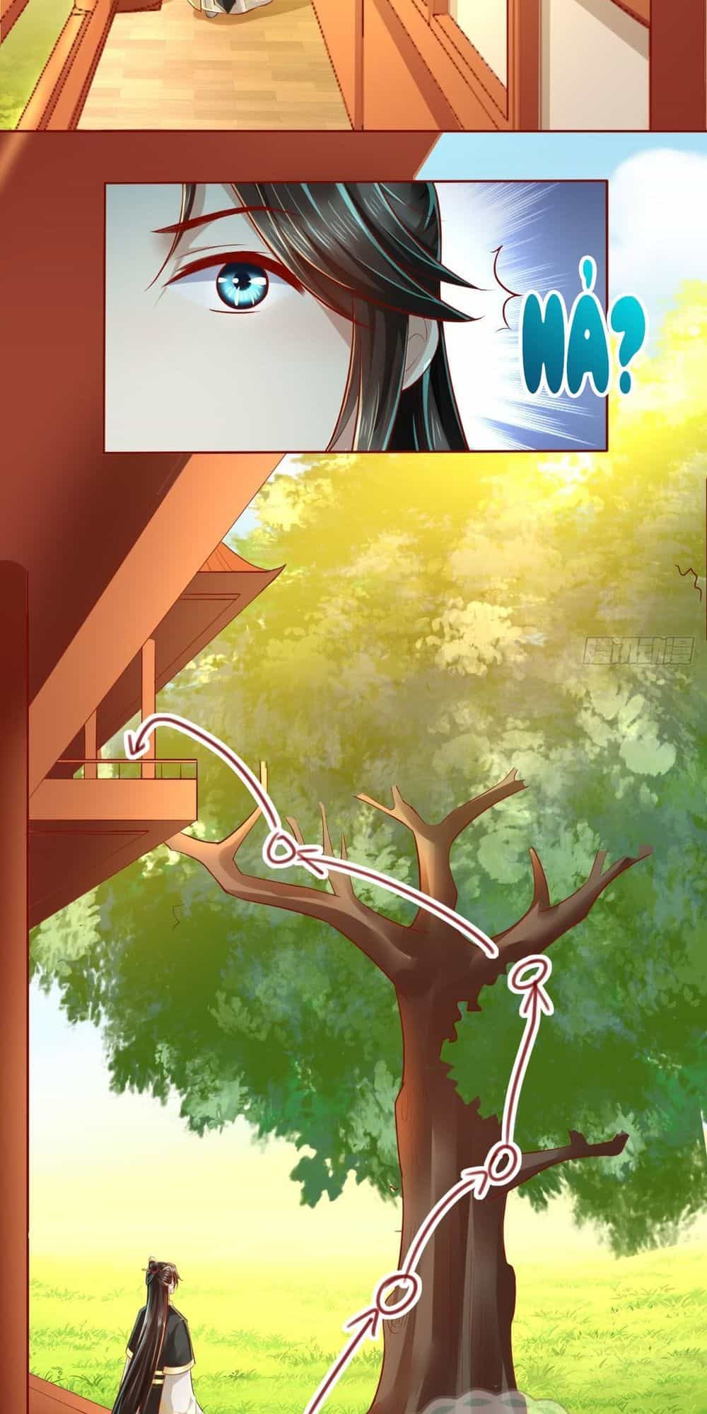 Bổn Cung Muốn Làm Hoàng Đế - Chương 17 - ảnh 23