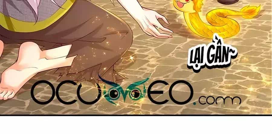 Bỗng Một Ngày Trở Thành Con Gái Nhà Vua - Chương 122 - ảnh 11
