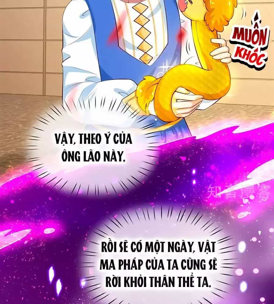 Bỗng Một Ngày Trở Thành Con Gái Nhà Vua - Chương 122 - ảnh 24