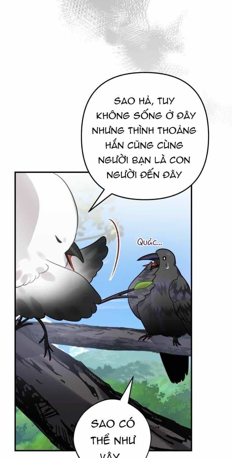 Bỗng Nhiên Tôi Trở Thành Quạ Đen!! - Chương 24 - ảnh 14