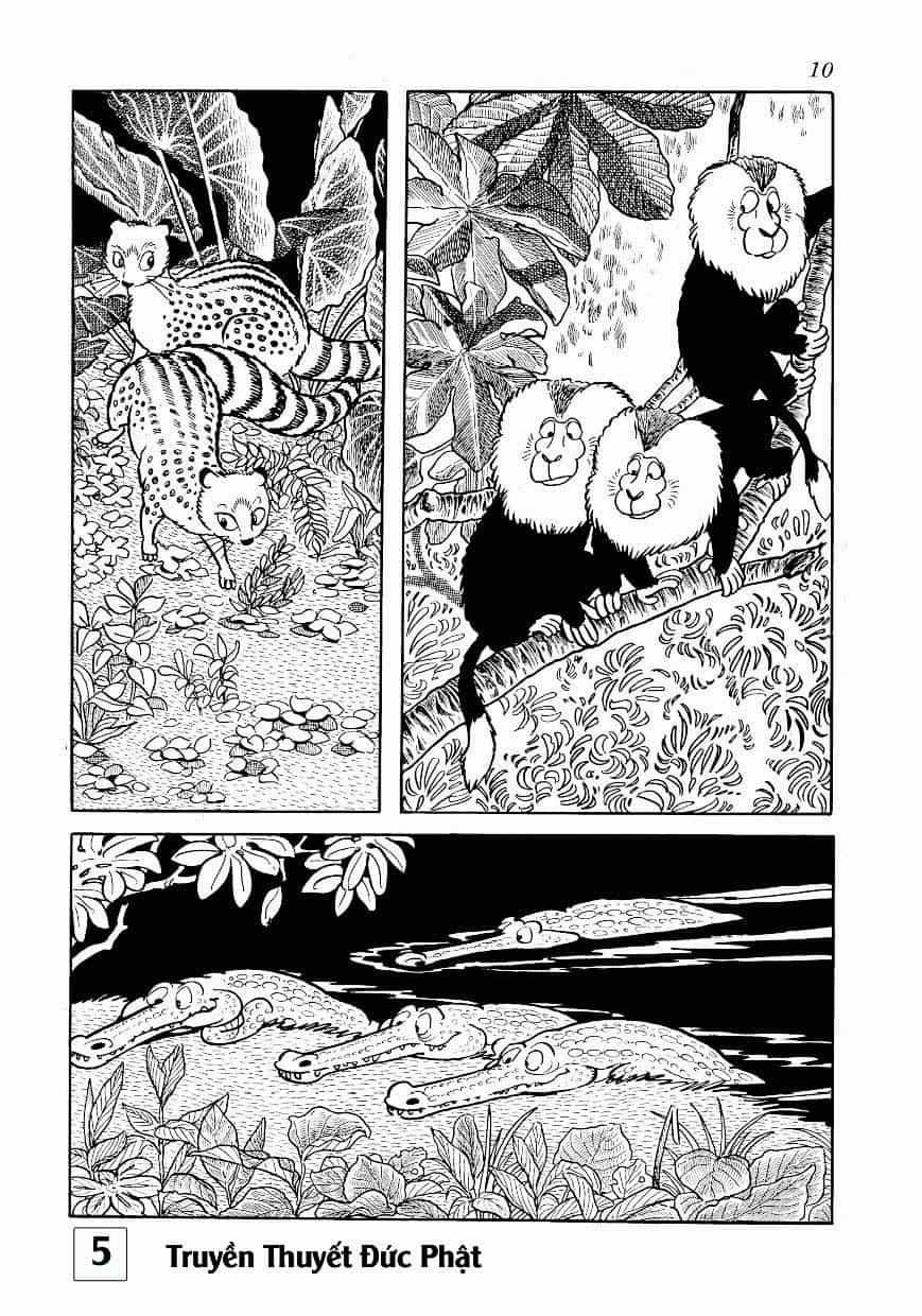 Buddha - Truyền Thuyết Đức Phật - Chương 23 - ảnh 10