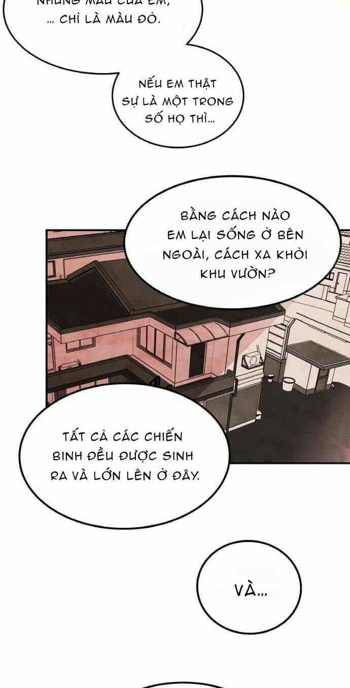 Bươm Bướm Và Máu - Chương 4 - ảnh 15