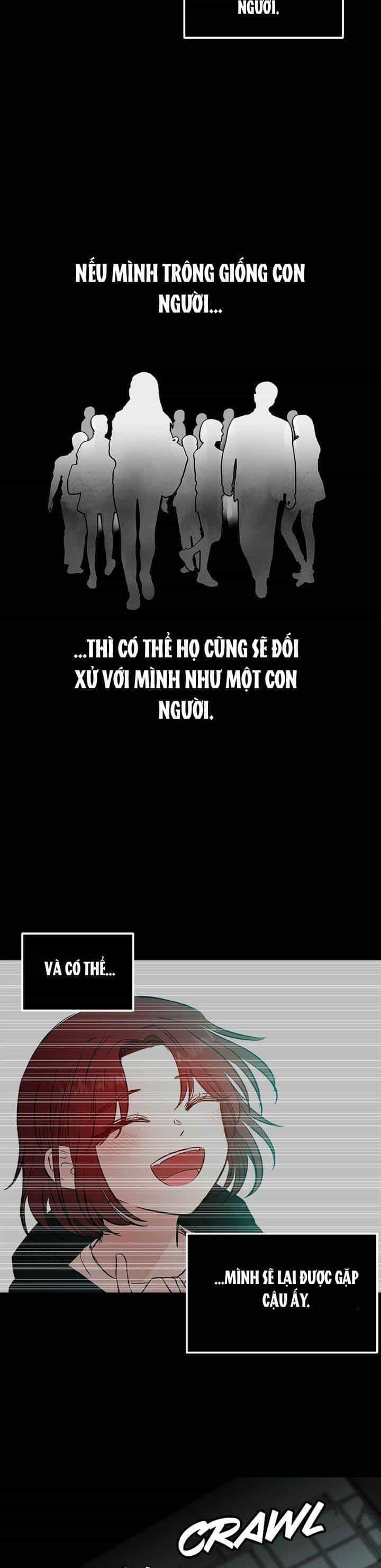 Bươm Bướm Và Máu - Chương 52 - ảnh 4
