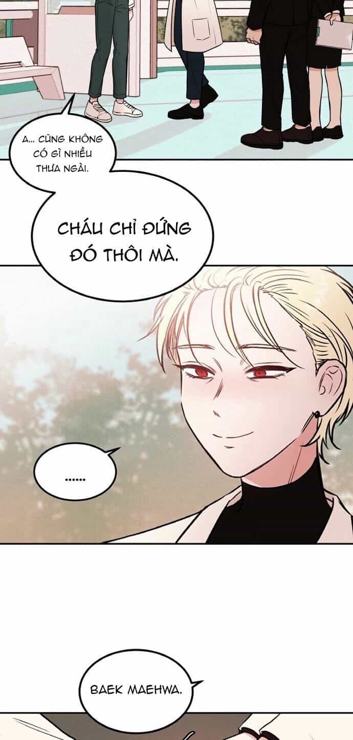 Bươm Bướm Và Máu - Chương 6 - ảnh 15