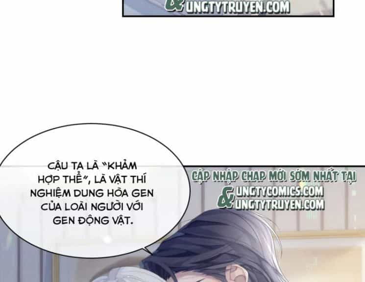 Cả Thế Giới Đều Muốn Ghép Chúng Tôi Làm Cp Mặc Dù Chúng Tôi Muốn Ly Hôn - Chương 36 - ảnh 5