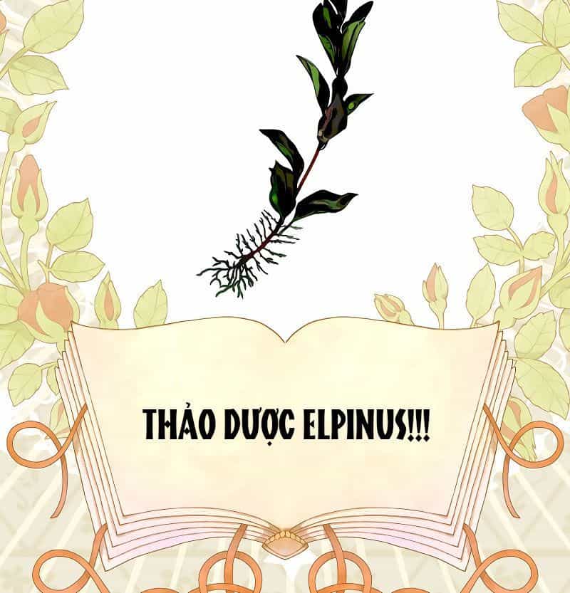 Các Nam Chính Bị Giam Giữ Trong Nhà Tôi - Chương 3 - ảnh 64