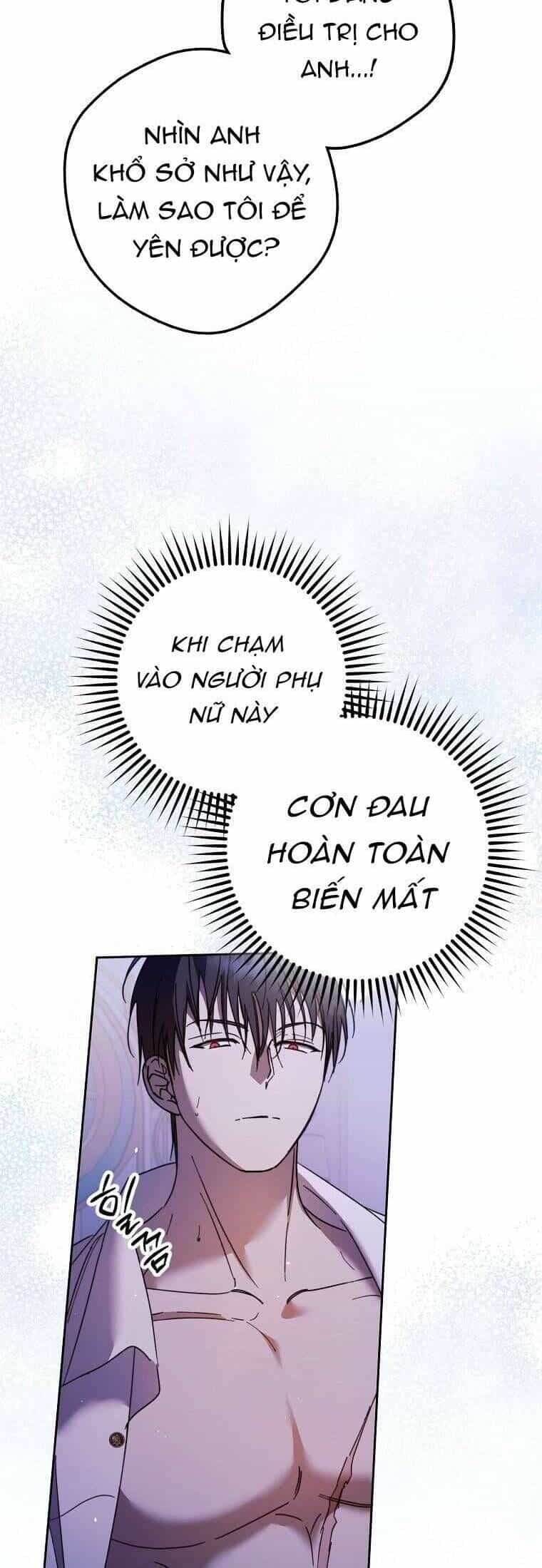 Các Nam Chính Đã Bị Nữ Phụ Cướp Mất - Chương 17 - ảnh 40