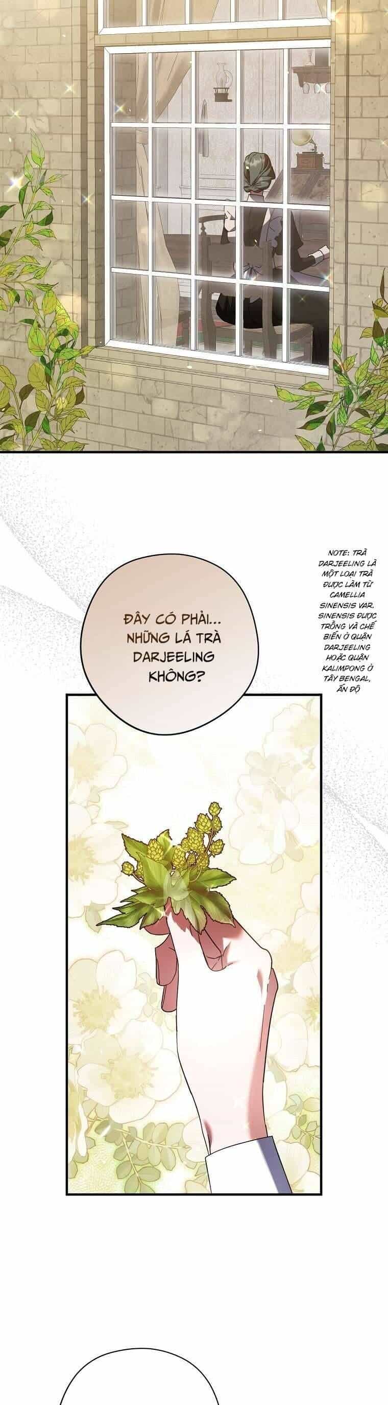 Các Nam Chính Đã Bị Nữ Phụ Cướp Mất - Chương 33 - ảnh 49