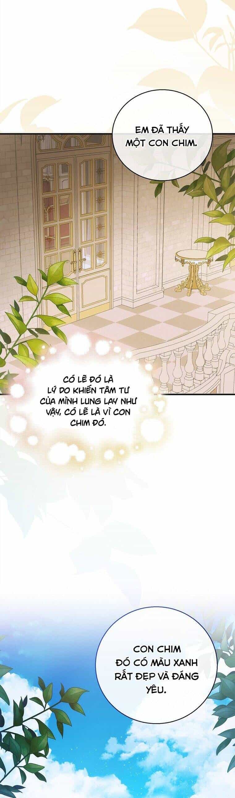 Cách Để Em Bảo Vệ Anh - Chương 121 - ảnh 34