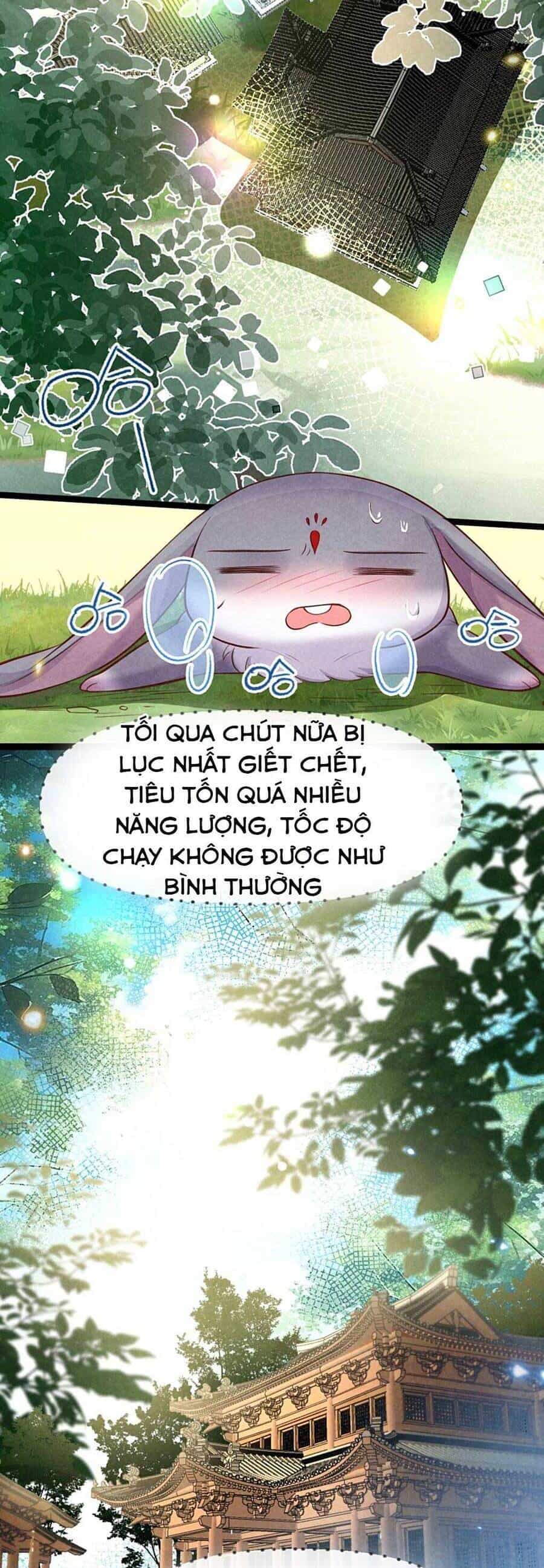 Cách Để Tồn Tại Như Một Cống Phẩm - Chương 13 - ảnh 16