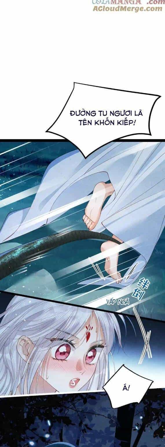 Cách Để Tồn Tại Như Một Cống Phẩm - Chương 19 - ảnh 21