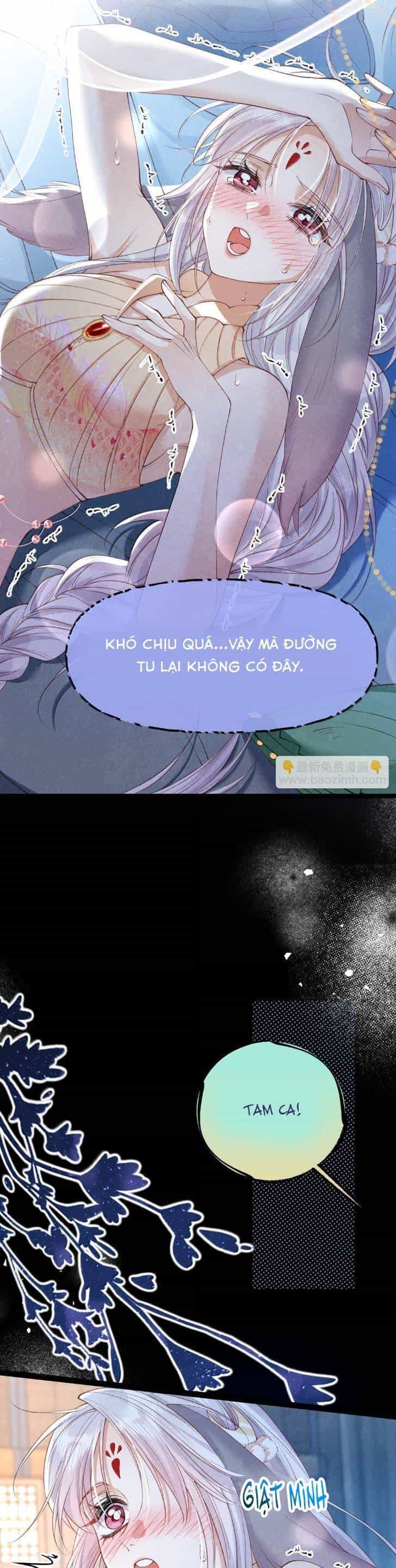 Cách Để Tồn Tại Như Một Cống Phẩm - Chương 27 - ảnh 15
