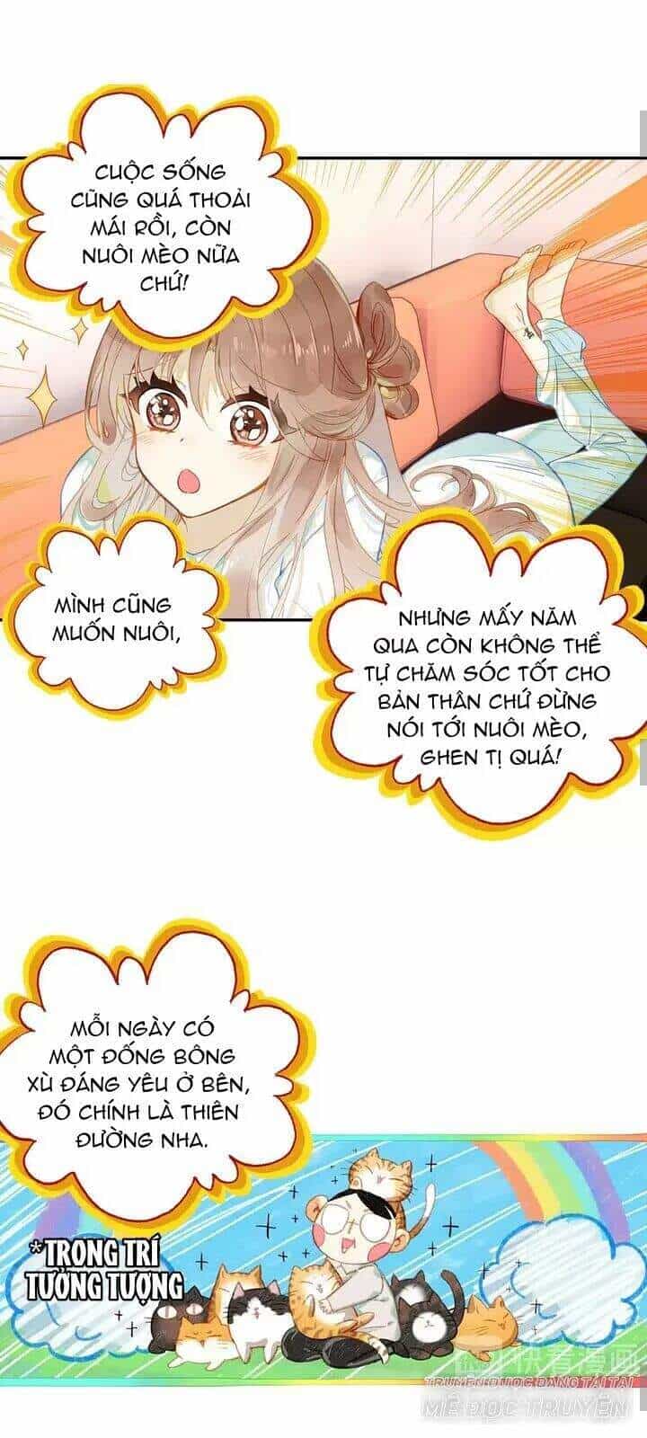 Cách Sông Ngàn Dặm, Tần Xuyên Tri Hạ - Chương 2 - ảnh 11