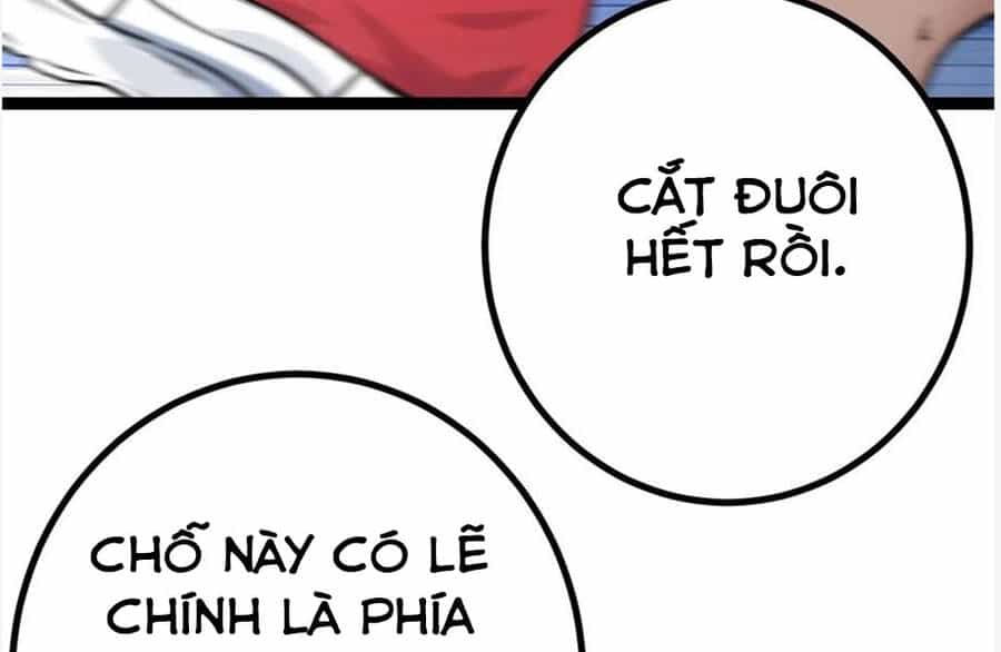 Cái Bóng Vạn Năng - Chương 122 - ảnh 81