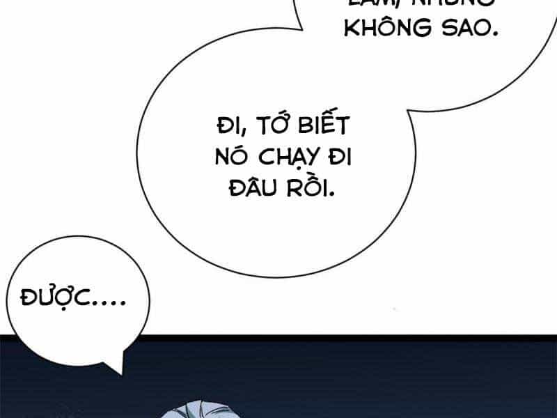 Cái Bóng Vạn Năng - Chương 168 - ảnh 33