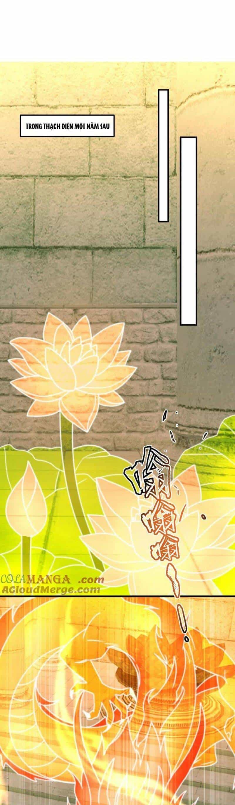 Cái Thế Đế Tôn - Chương 463 - ảnh 16