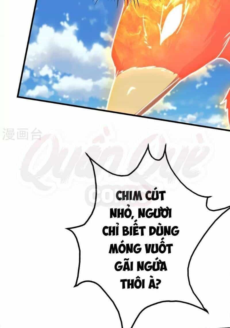 Cái Thế Đế Tôn - Chương 49 - ảnh 14