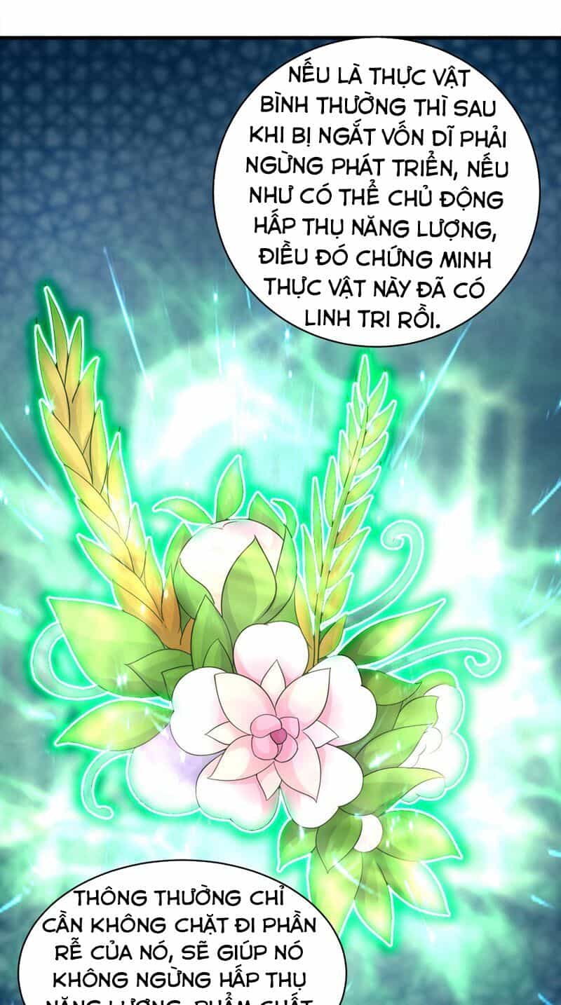 Cái Thế Đế Tôn - Chương 53 - ảnh 28