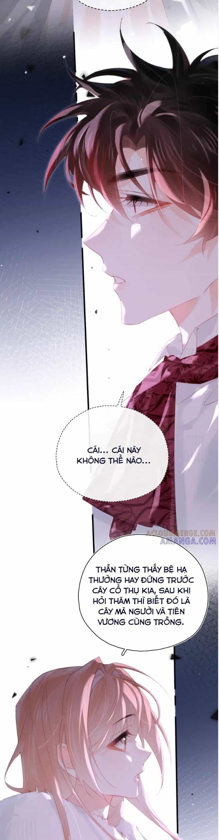 Cạm Bẫy Của Hắn - Chương 24 - ảnh 14