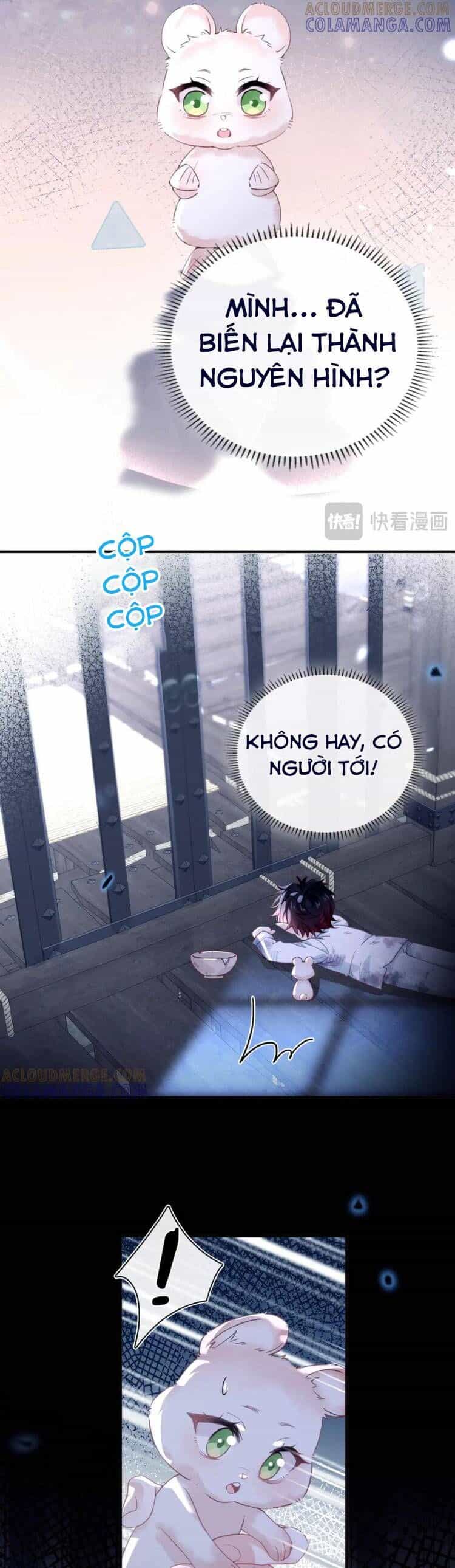 Cạm Bẫy Của Hắn - Chương 27 - ảnh 7