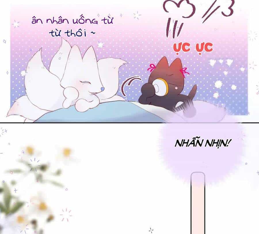 Cạm Bẫy Của Hồ Ly - Chương 6 - ảnh 25