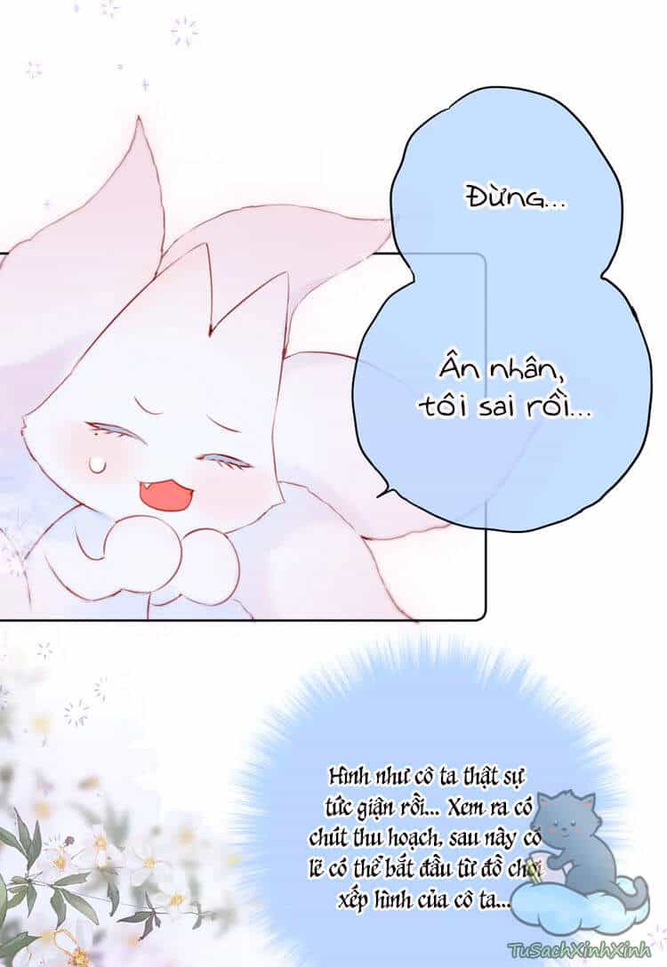 Cạm Bẫy Của Hồ Ly - Chương 12 - ảnh 13