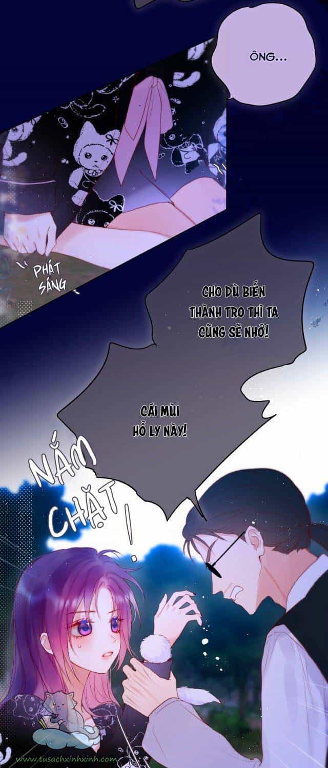 Cạm Bẫy Của Hồ Ly - Chương 26 - ảnh 5