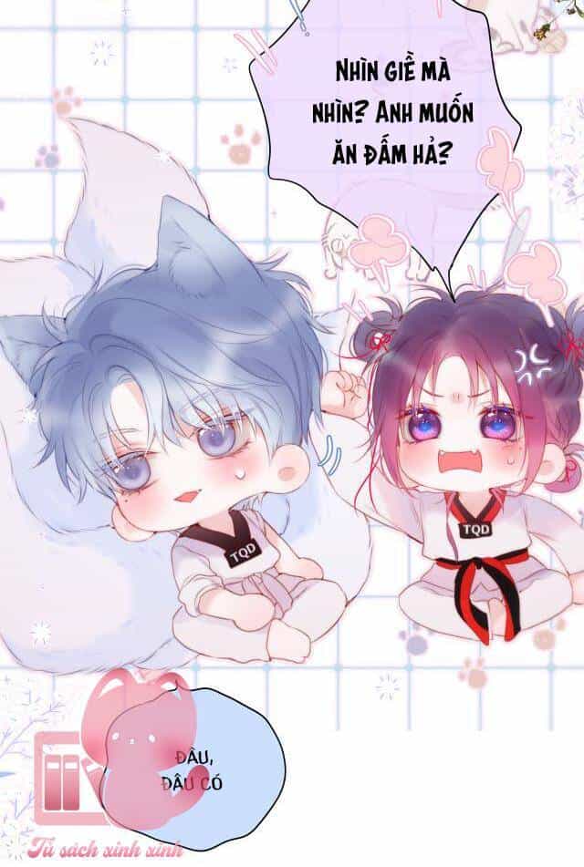 Cạm Bẫy Của Hồ Ly - Chương 33 - ảnh 18