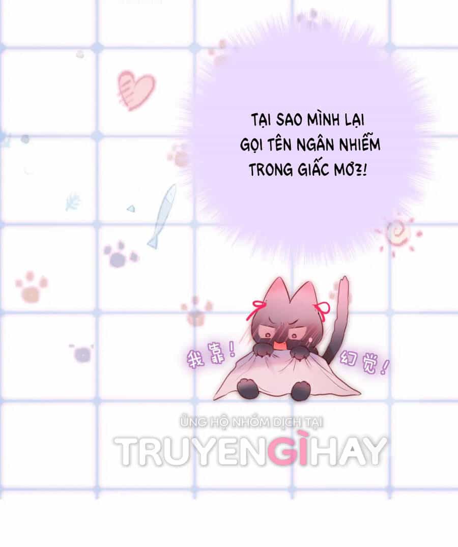 Cạm Bẫy Của Hồ Ly - Chương 42.2 - ảnh 8