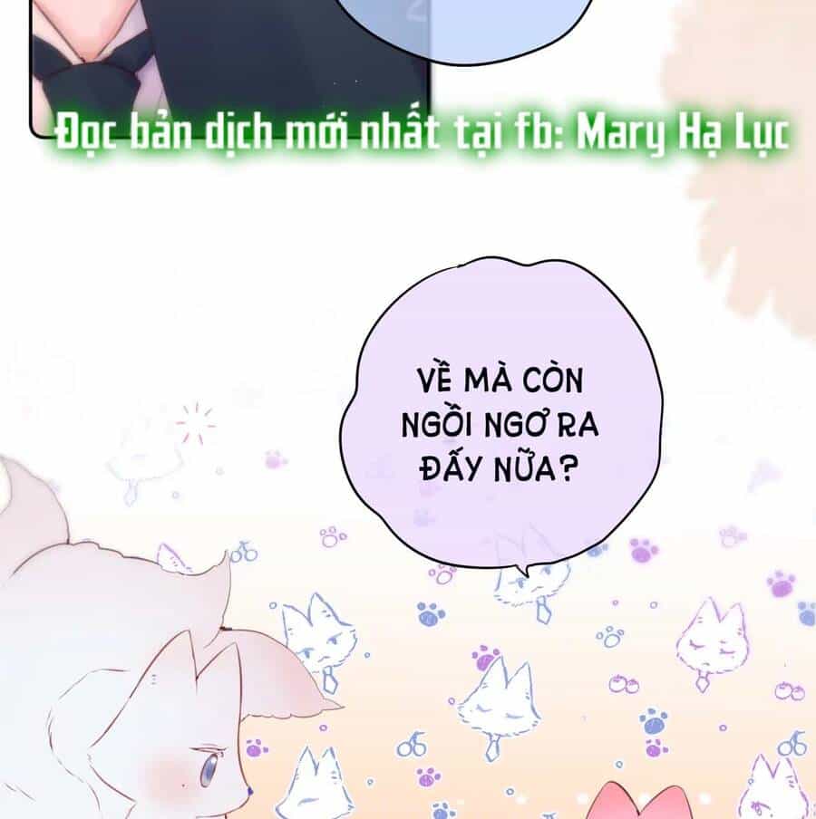 Cạm Bẫy Của Hồ Ly - Chương 47 - ảnh 29