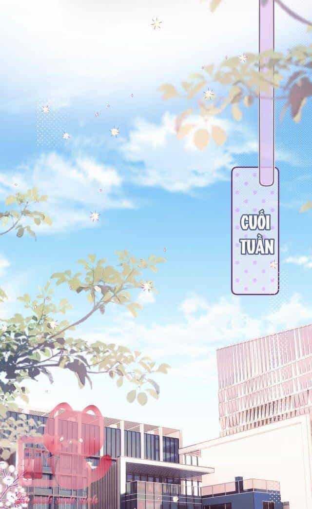 Cạm Bẫy Của Hồ Ly - Chương 58 - ảnh 28
