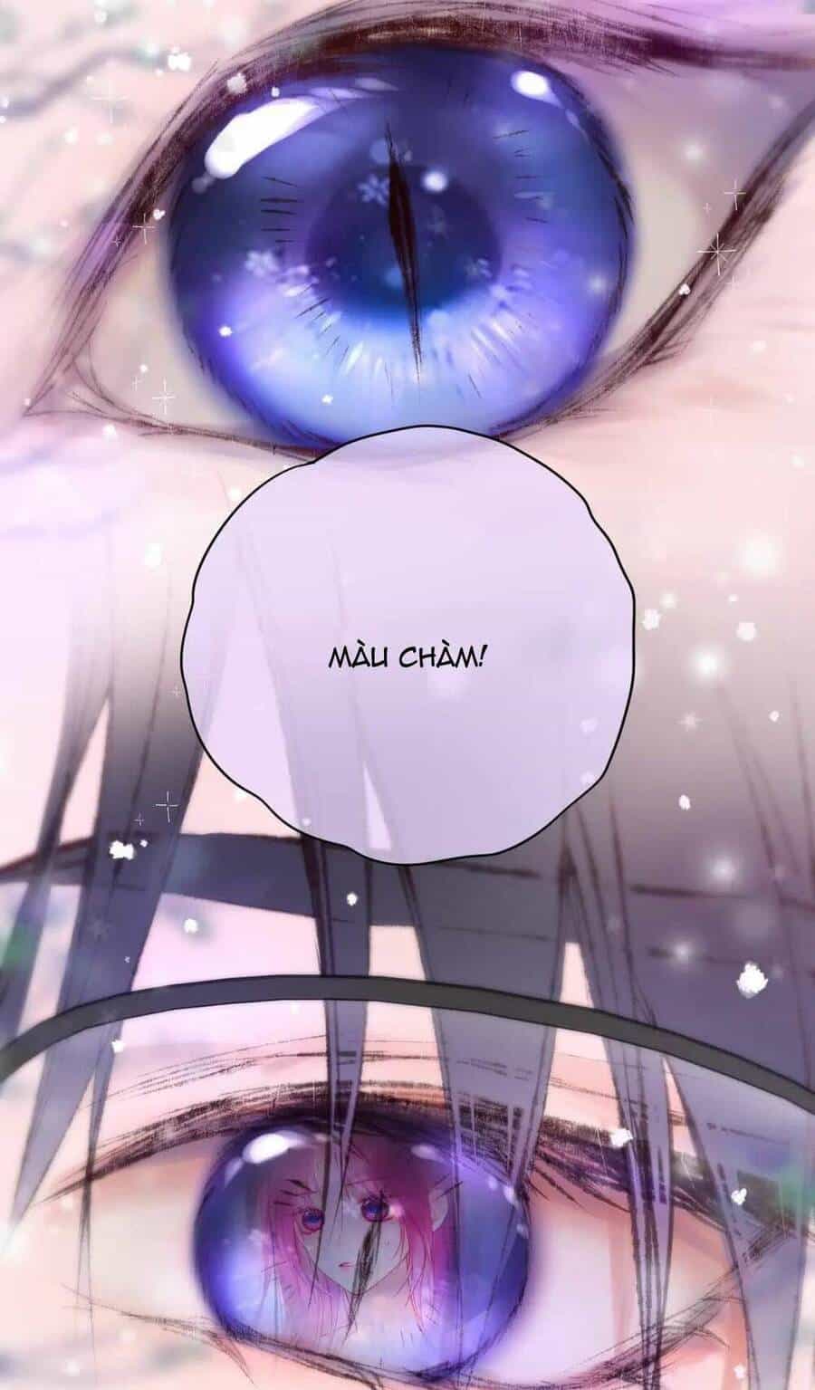 Cạm Bẫy Của Hồ Ly - Chương 62 - ảnh 31