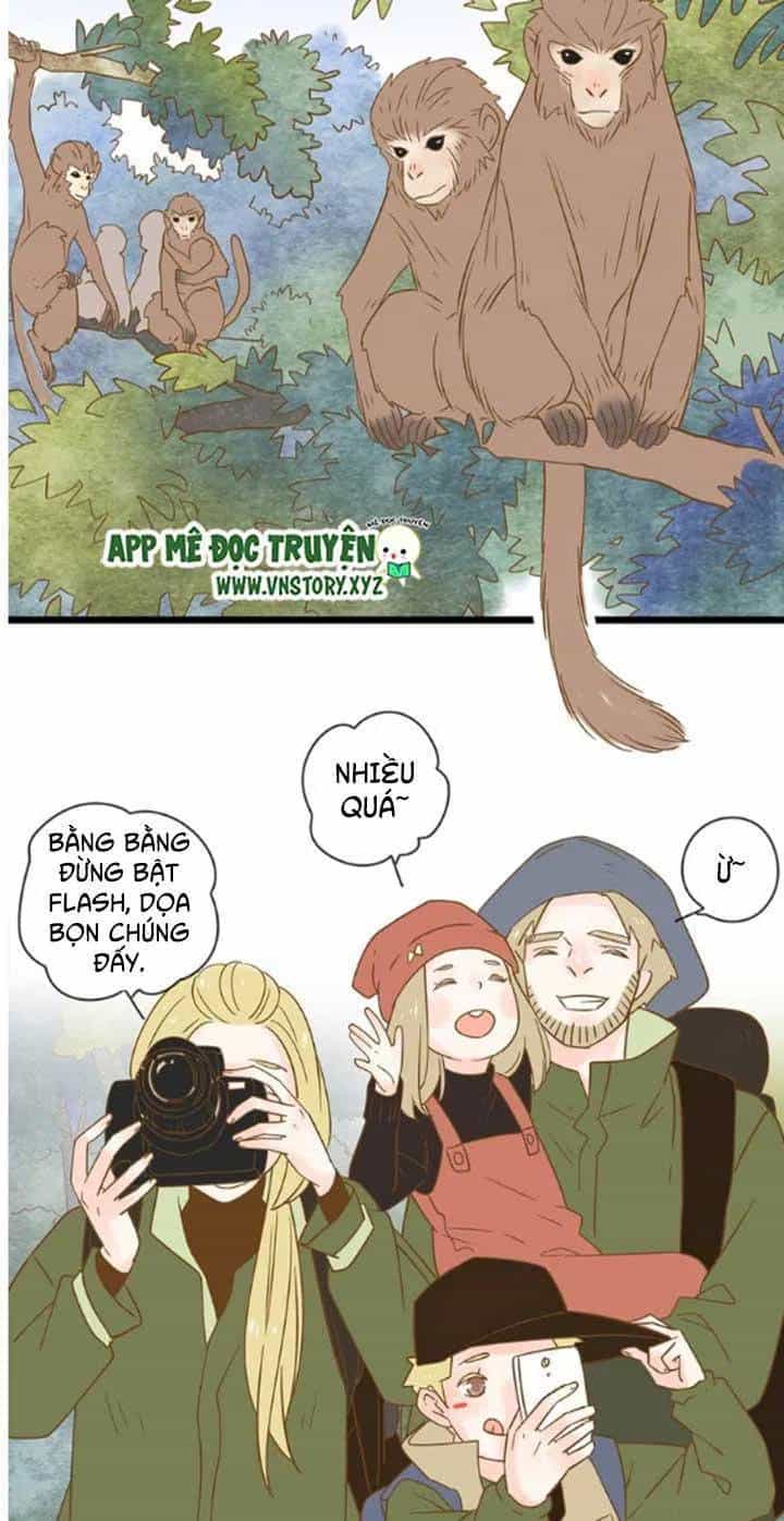 Cạm Bẫy Ngọt Ngào - Chương 22 - ảnh 21