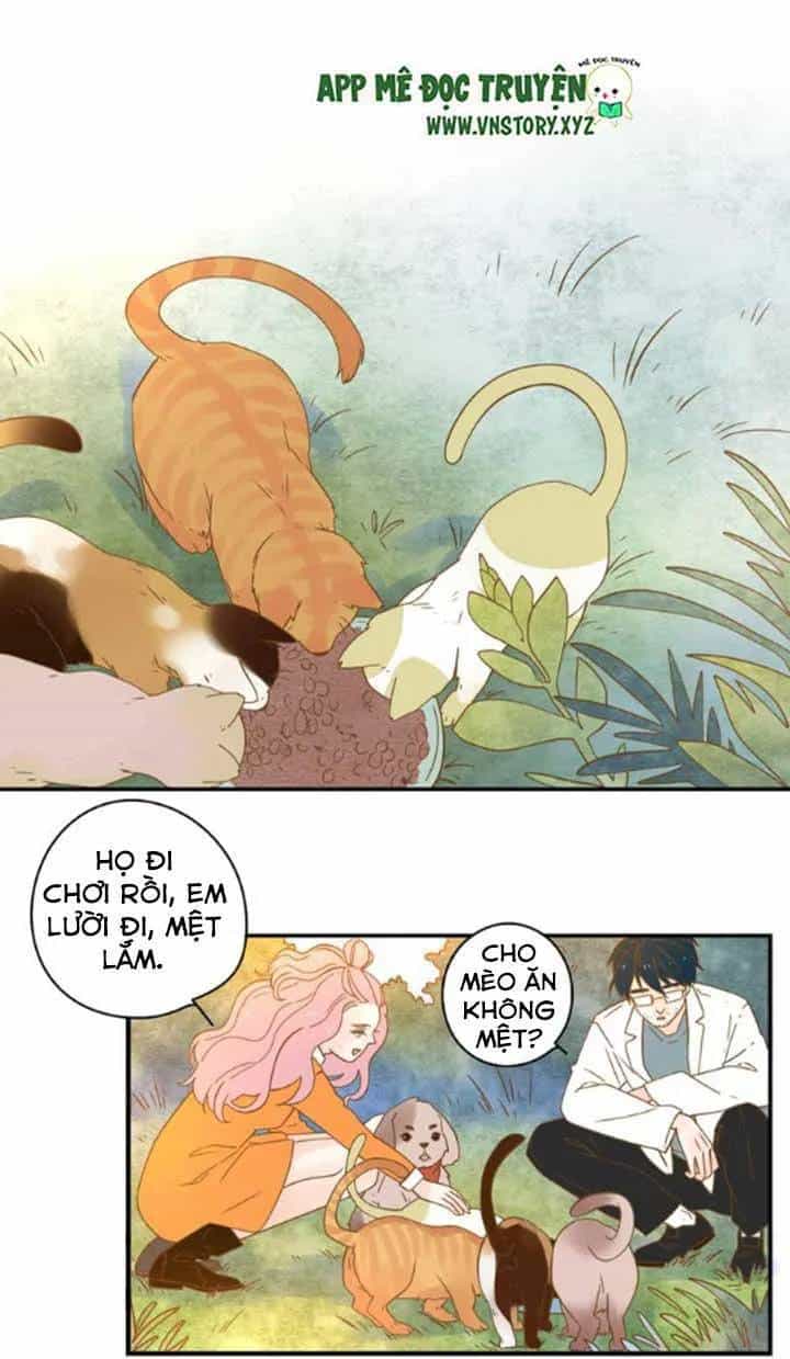 Cạm Bẫy Ngọt Ngào - Chương 24 - ảnh 33