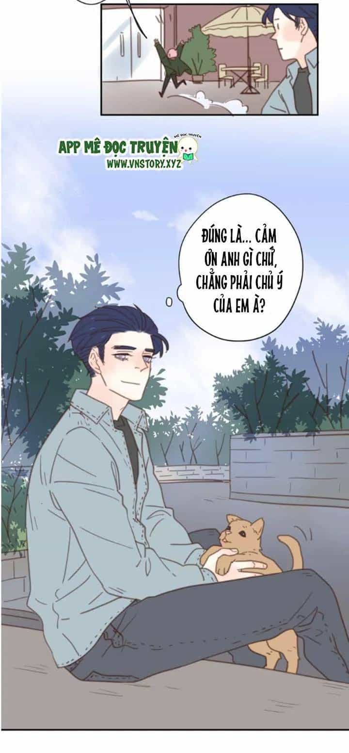 Cạm Bẫy Ngọt Ngào - Chương 33 - ảnh 32