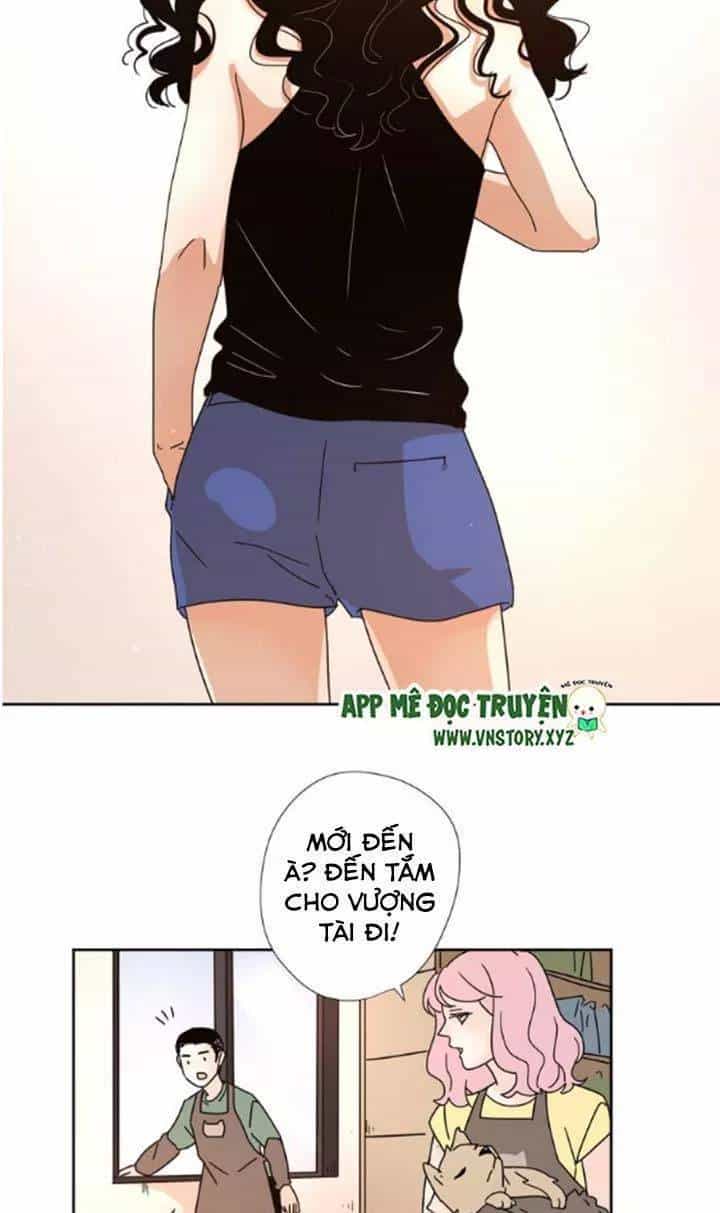Cạm Bẫy Ngọt Ngào - Chương 47 - ảnh 12