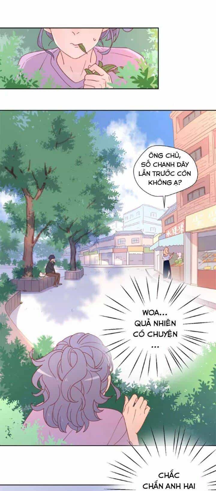 Cạm Bẫy Ngọt Ngào - Chương 77 - ảnh 2
