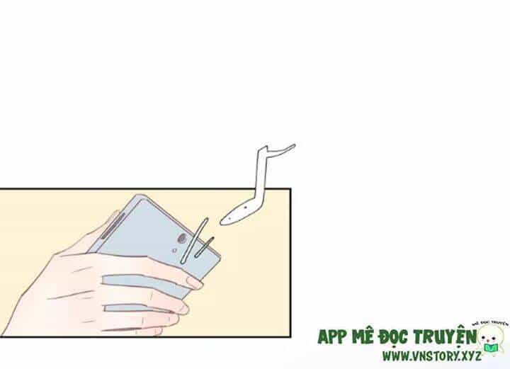 Cạm Bẫy Ngọt Ngào - Chương 80 - ảnh 49